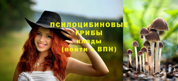 гашишное масло Ладушкин