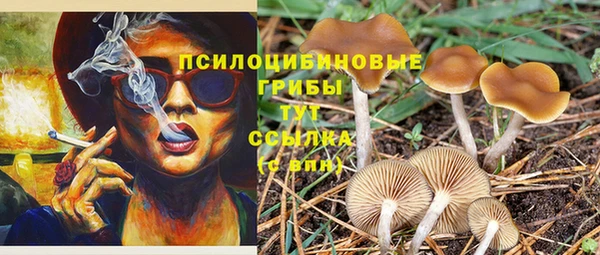 ешки Лагань