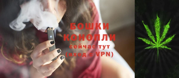 ешки Лагань
