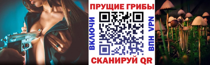 Псилоцибиновые грибы Magic Shrooms  Нахабино 